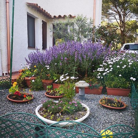 פולה Villa Manuela מראה חיצוני תמונה