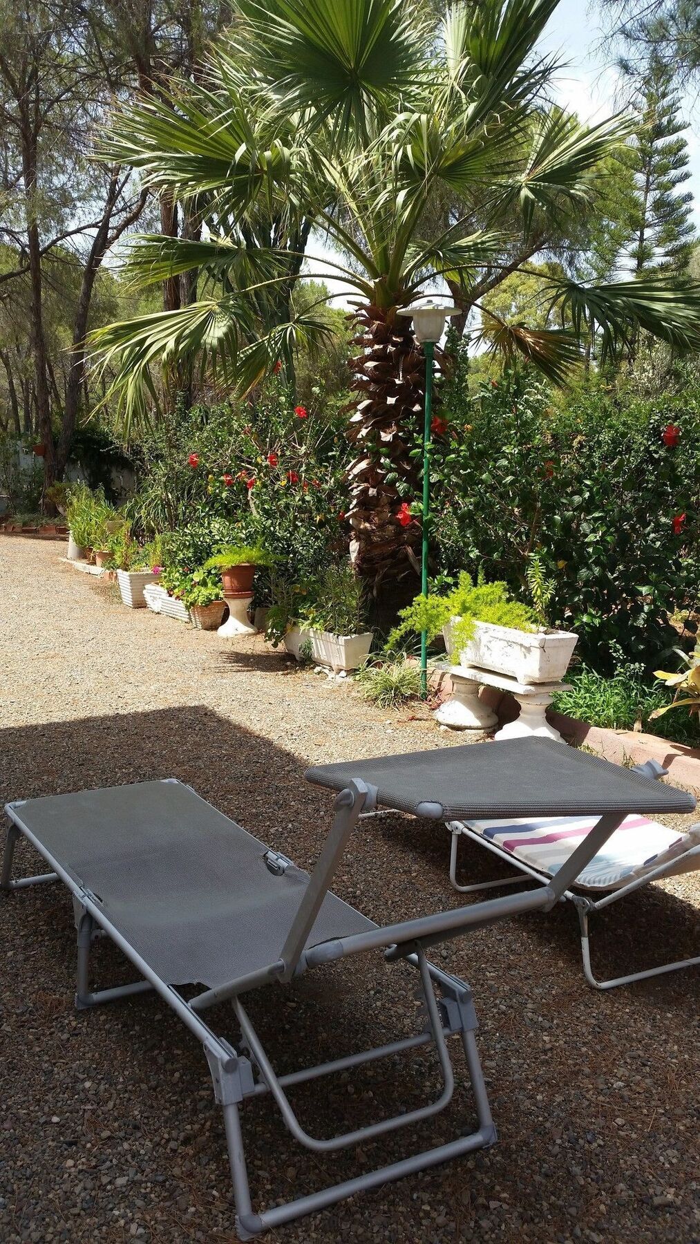 פולה Villa Manuela מראה חיצוני תמונה